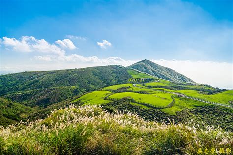 秦天罡陽明山